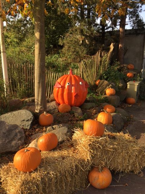 pumpkin, pumpkin in fiberglass, happy pumpkin, halloween pumpkin, custom made pumpkin, fiberglass art, fiberglass object,big pumkin, pumkin for decoration, fiberglass decoration, fiberglas blow ups, prop in fiberglass, halloween decoration, themeparc decoration, themeparc requisite, thematisation, theming